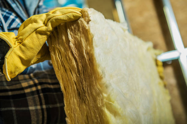 Best Home Insulation Services  in Devola, OH