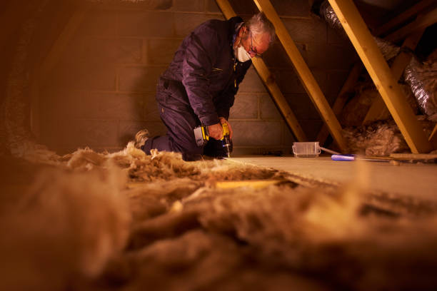 Professional Insulation Contractor in Devola, OH
